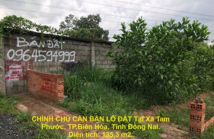 CHÍNH CHỦ CẦN BÁN LÔ ĐẤT Tại Xã Tam Phước, TP.Biên Hòa, Tỉnh Đồng Nai.